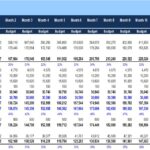 Monthly Profit & Loss Statement Overview | eFinancialModels Profit & Loss statement displaying budget and actual figures over twelve months.
