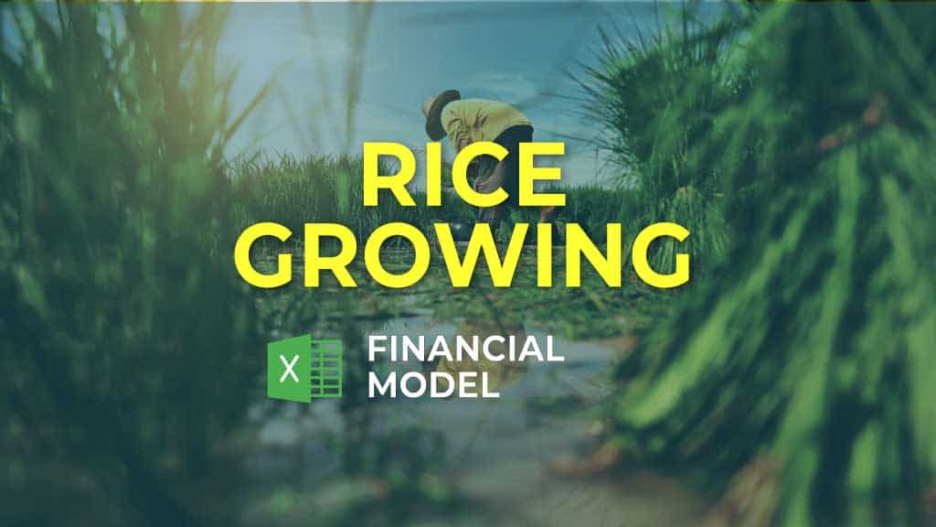 rice business plan pdf