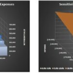 Sensitivity Analysis of NPV and IRR to Revenues and Expenses | eFinancialModels 3D sensitivity analysis charts for NPV and IRR relative to revenues and expenses.