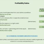 Overview of Key Profitability Ratios | eFinancialModels Profitability ratios including gross, net, asset, and equity ratios with calculator inputs.