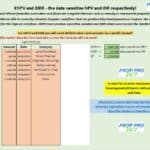 XNPV and XIRR Calculation Model Template | eFinancialModels Spreadsheet showing XNPV and XIRR calculations with cash flows and dates.