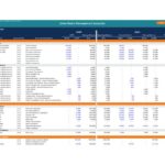 Trial balance spreadsheet showing 2020 and 2021 financial data for management accounts.