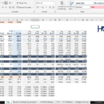 P&L summary table showing revenue and profit metrics across fiscal years.