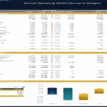 Annual operating model comparing actual performance with budget values and variances.