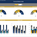 Financial Ratios Dashboard Overview for 2021 | eFinancialModels Dashboard illustrating 2021 financial ratios: gross, operating, and net profit margins, plus cash conversion cycle.