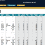 YTD Employee Payroll Report Overview | eFinancialModels Year-to-date payroll data for employees including gross salary and deductions.