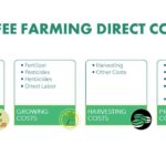 Breakdown of coffee farming direct costs: planting, growing, harvesting, and processing expenses.