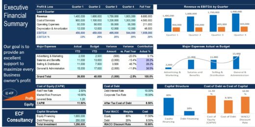 Executive Financial Summary Excel with Power Point Presentation