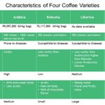 Chart comparing the characteristics of Arabica, Robusta, Liberica, and Excelsa coffee varieties.