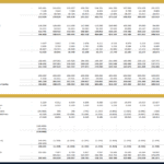 Comprehensive Balance Sheet and Cash Flow Statement | eFinancialModels Balance sheet and cash flow statement showcasing financial positions and cash activities.