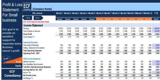 Monthly Profit & Loss Statement for a Small Business