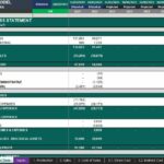 Profit & Loss Statement highlighting historical sales and expenses from 2023 and 2022.