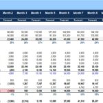 Pro forma income statement with revenue and expenses across 12 months.