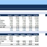 Quarterly Profit & Loss and Cash Flow summary for a company.