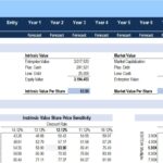 Financial valuation metrics for ECF Consultancy showing intrinsic value, market value, NPV, IRR, and sensitivity analysis.