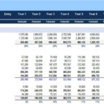 10-year financial projection table outlining revenue, expenses, and net income.