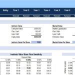 Company valuation model displaying intrinsic value, market value, NPV, IRR, and sensitivity analysis.
