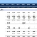 Pro forma cash flow statement illustrating operating, investing, and financing activities.