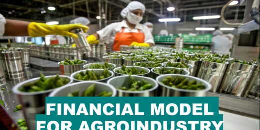 Financial Model for AGROINDUSTRY