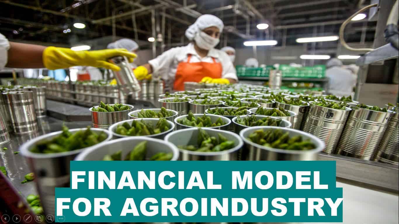 Financial Model for AGROINDUSTRY