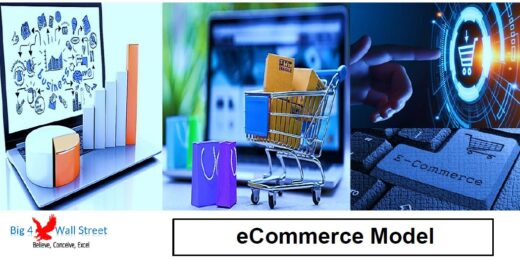 eCommerce Website Financial Model