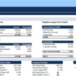 Financial model overview showing capital sources, expenditures, WACC, NPV, and IRR for a consultancy business.