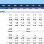 Pro forma cash flow statement detailing operational, investing, and financing activities.