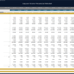 Liquor Store Year 1 Income Statement Overview | eFinancialModels Year 1 income statement for a liquor store, detailing revenue and expenses across months.
