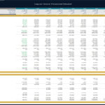 Liquor Store Financial Model Overview | eFinancialModels Financial model template showing projected income and cash flow for a liquor store.