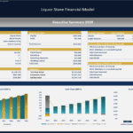 Liquor Store Financial Model | eFinancialModels Liquor Store Financial Model overview for 2029 with key statistics and financial summary.