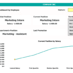 Employee Salary Dashboard Overview | eFinancialModels Employee salary dashboard showing position and earnings quartiles for a marketing intern.