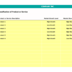 Product Classification Matrix for Strategic Analysis | eFinancialModels Product classification showing growth and share levels in a BCG matrix.