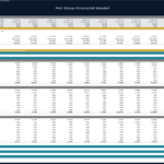 Pet Shop Inventory Financial Model Overview | eFinancialModels Financial model displaying inventory metrics by pet product categories