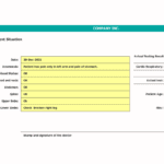 Patient Current Situation Summary | eFinancialModels Patient's current situation details including vital signs and symptoms.