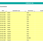 Examination Status Report for Health Assessments | eFinancialModels A table displaying an examination list with dates, types, status, results, and attention status for healthcare assessments.