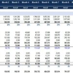 Monthly Income Statement with Actual vs Budgeted Figures | eFinancialModels Income statement showing actual and budgeted revenues, expenses, and net income for multiple months.