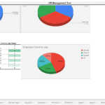 Employee Distribution Analysis in HR Management Tool | eFinancialModels Pie charts showing employee counts by type (full-time/part-time) and age range.