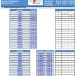 Fast Food Chain Model Operations Flags Overview | eFinancialModels Operational timeline for fast food outlets with investment dates and flags.