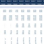 Key financial ratios table outlining profitability, liquidity, and solvency metrics.