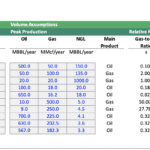 Table showing project assumptions for oil and gas investment analysis including production estimates and financial ratios.