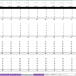 Pro forma cash flow template showing monthly rental income and vacancy loss details.