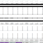 Cash flow projection including net sales and debt service