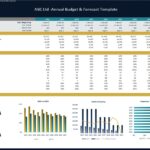 ABC Ltd Budget and Forecast Financial Ratios Overview | eFinancialModels Budgeting template displaying financial ratios, metrics, and charts for ABC Ltd.