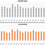 LTV to CAC Calculation Template Overview | eFinancialModels Graphs showing customer lifetime value and LTV/CAC ratio trends from Jan 2019 to Dec 2020.