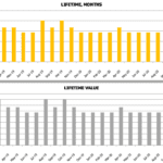 Customer Lifetime Metrics: Months and Value Analysis | eFinancialModels Chart comparing customer lifetime in months and lifetime value from Jan 2019 to Dec 2020.