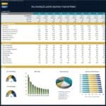 Dry Cleaning Business Financial Model Overview and Ratios | eFinancialModels Financial model showing revenue metrics and key financial ratios for a dry cleaning business.