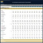 Dry Cleaning Business Monthly Budget Financial Model | eFinancialModels Financial model template displaying monthly budget for dry cleaning services and profit analysis.