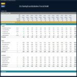 Dry Cleaning Business Revenue Projection Overview | eFinancialModels Revenue projection and cost summary for dry cleaning services in an Excel model.