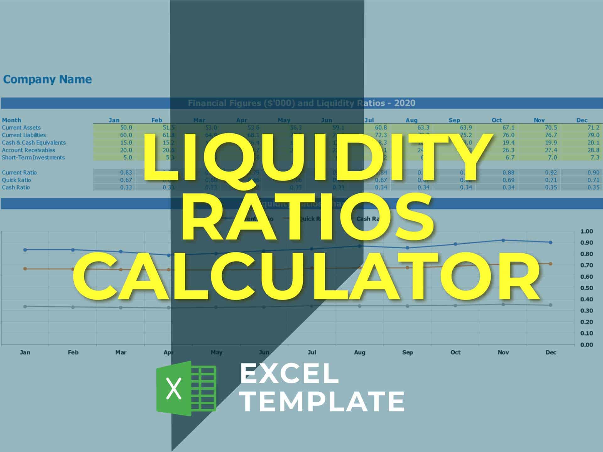 Liquidity Ratios Excel Template Calculator EFinancialModels solvency-vs-liquidity-financial-health-comparison-meaning