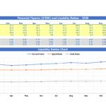 Liquidity Ratios and Financial Figures for 2020 | eFinancialModels Monthly liquidity ratios chart comparing Current, Quick, and Cash Ratios for 2020